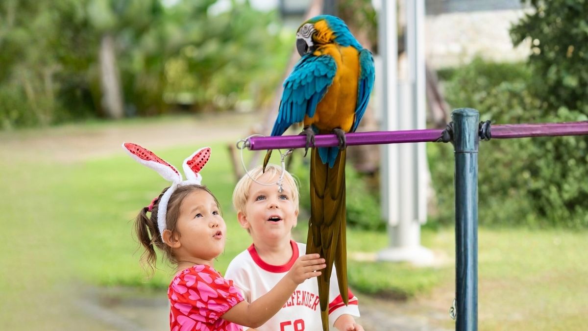 Join a joyful Easter family afternoon with egg painting, mini zoo, balloon fun, pizza and cupcake decorating, plus festive treats.